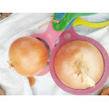 2021 high quality New Harvest Natural Fresh Onion Export Chinese Fresh Onion